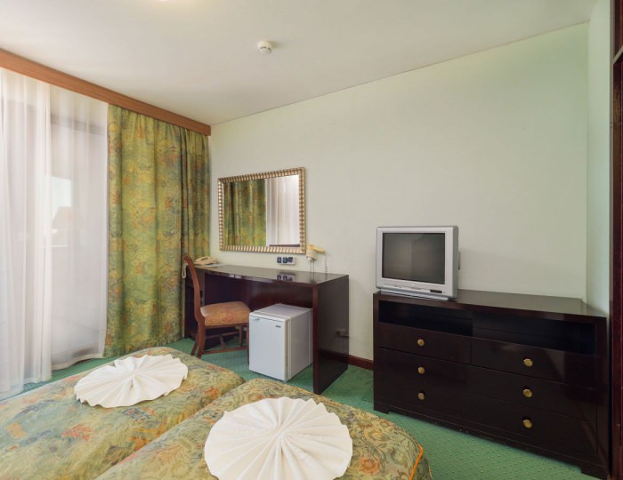 Стандарт 2-местный с балконом макси - Пансионат «Шексна»