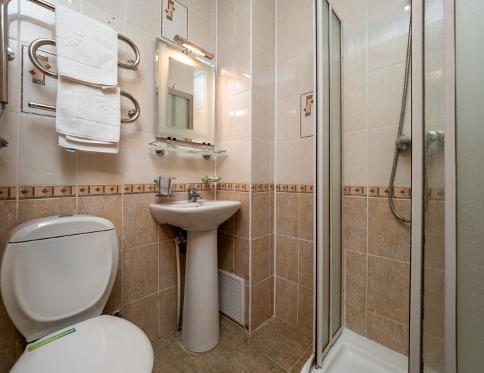 Двухместный номер эконом-класса - Пансионат «Шексна»